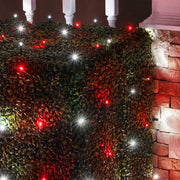 4' 6' 5mm Red, Cool White 5mm LED Christmas Net Lights, 100 Lights on Green Wire