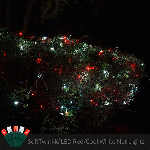 4' 6' 5mm Red, Cool White SoftTwinkle 5mm LED Christmas Net Lights, 70 Lights on Green Wire