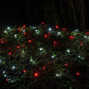 4' 6' 5mm Red, Cool White SoftTwinkle 5mm LED Christmas Net Lights, 70 Lights on Green Wire