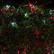 4' 6' 5mm Red, Cool White SoftTwinkle 5mm LED Christmas Net Lights, 70 Lights on Green Wire