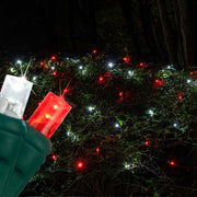 4' 6' 5mm Red, Cool White Twinkle 5mm LED Christmas Net Lights, 100 Lights on Green Wire