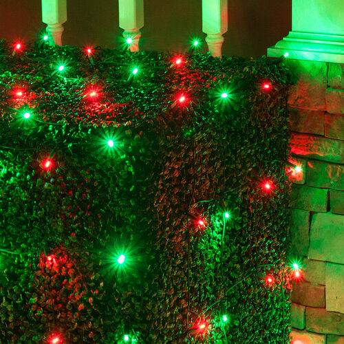 4' 6' 5mm Red, Green 5mm LED Christmas Net Lights, 100 Lights on Green Wire