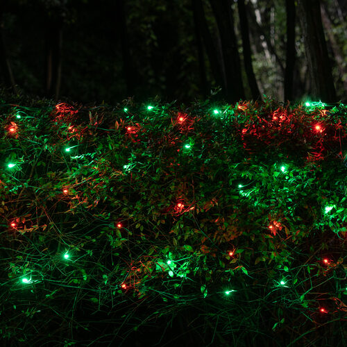 4' 6' 5mm Red, Green SoftTwinkle 5mm LED Christmas Net Lights, 70 Lights on Green Wire