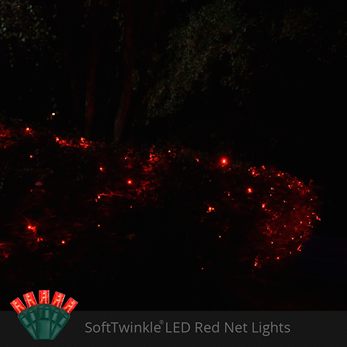 4' 6' 5mm Red SoftTwinkle 5mm LED Christmas Net Lights, 70 Lights on Green Wire