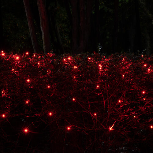 4' 6' 5mm Red SoftTwinkle 5mm LED Christmas Net Lights, 70 Lights on Green Wire