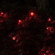 4' 6' 5mm Red SoftTwinkle 5mm LED Christmas Net Lights, 70 Lights on Green Wire