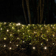 4' 6' 5mm Warm White SoftTwinkle 5mm LED Christmas Net Lights, 70 Lights on Green Wire