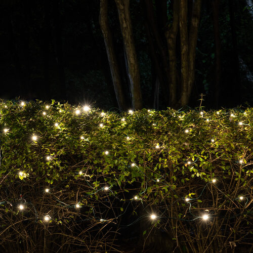 4' 6' 5mm Warm White SoftTwinkle 5mm LED Christmas Net Lights, 70 Lights on Green Wire