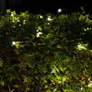 4' 6' 5mm Warm White SoftTwinkle 5mm LED Christmas Net Lights, 70 Lights on Green Wire