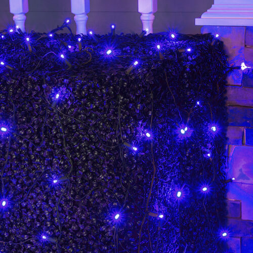 4' 6' Blue 5mm LED Christmas Net Lights, 100 Lamps on Green Wire