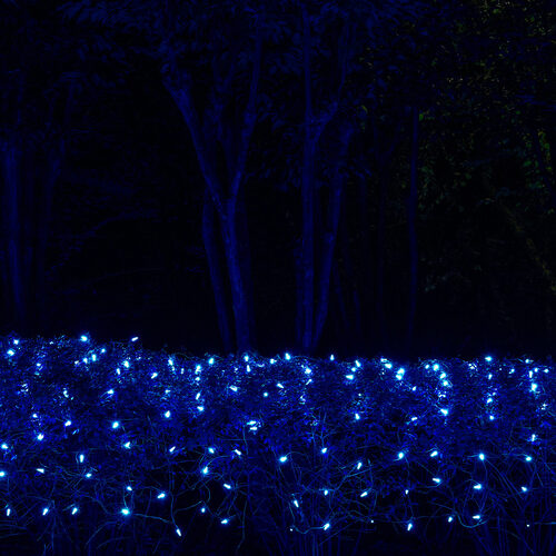 4' 6' M5 Blue M5 LED Christmas Net Lights, 100 Lights on Green Wire
