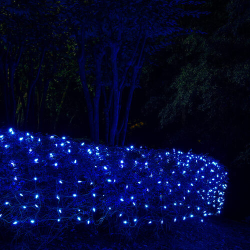 4' 6' M5 Blue M5 LED Christmas Net Lights, 100 Lights on Green Wire