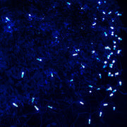 4' 6' M5 Blue M5 LED Christmas Net Lights, 100 Lights on Green Wire
