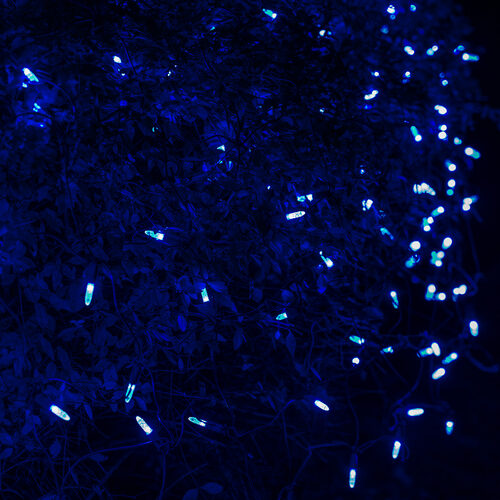 4' 6' M5 Blue M5 LED Christmas Net Lights, 100 Lights on Green Wire