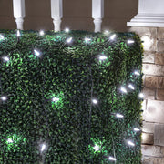 4' 6' M5 Cool White M5 LED Christmas Net Lights, 100 Lights on Green Wire