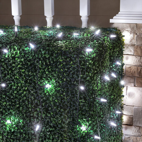 4' 6' M5 Cool White M5 LED Christmas Net Lights, 100 Lights on Green Wire