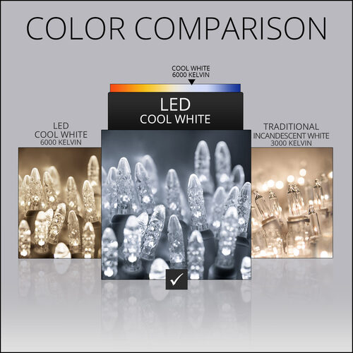 4' 6' M5 Cool White M5 LED Christmas Net Lights, 100 Lights on White Wire