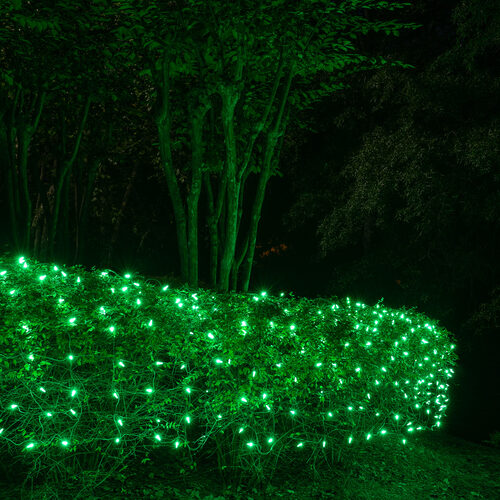 4' 6' M5 Green M5 LED Christmas Net Lights, 100 Lights on Green Wire