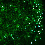 4' 6' M5 Green M5 LED Christmas Net Lights, 100 Lights on Green Wire