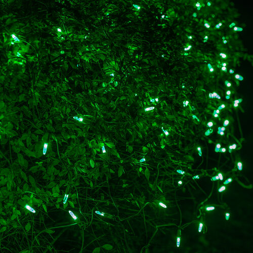 4' 6' M5 Green M5 LED Christmas Net Lights, 100 Lights on Green Wire
