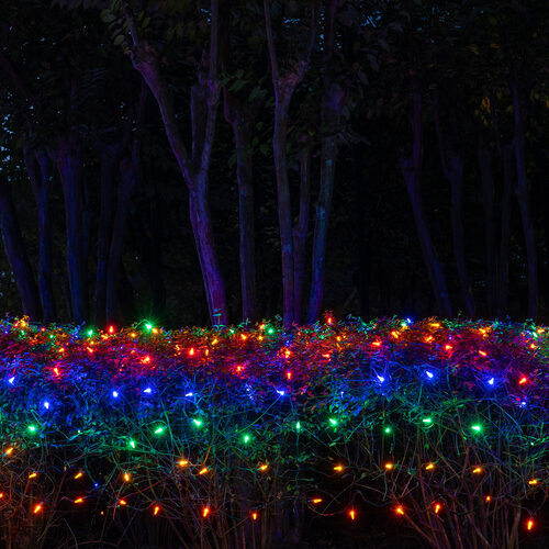 4' 6' M5 Multicolor M5 LED Christmas Net Lights, 100 Lights on Green Wire