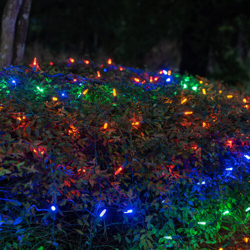 4' 6' M5 Multicolor M5 LED Christmas Net Lights, 100 Lights on Green Wire
