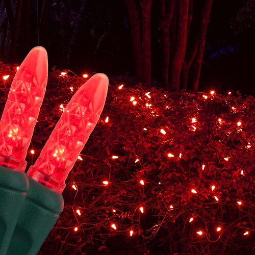 4' 6' M5 Red M5 LED Christmas Net Lights, 100 Lights on Green Wire