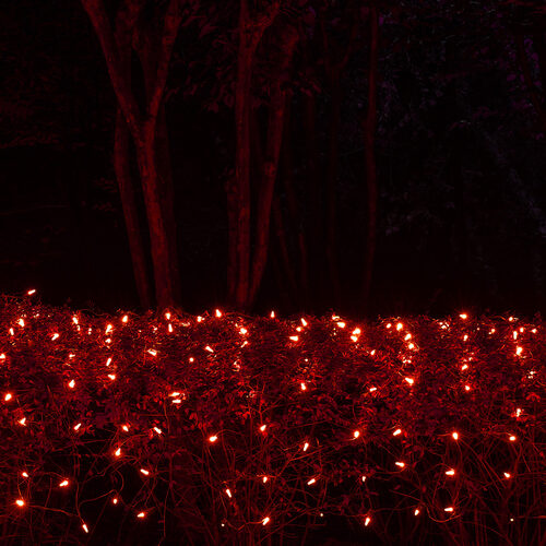 4' 6' M5 Red M5 LED Christmas Net Lights, 100 Lights on Green Wire