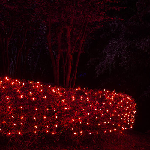 4' 6' M5 Red M5 LED Christmas Net Lights, 100 Lights on Green Wire
