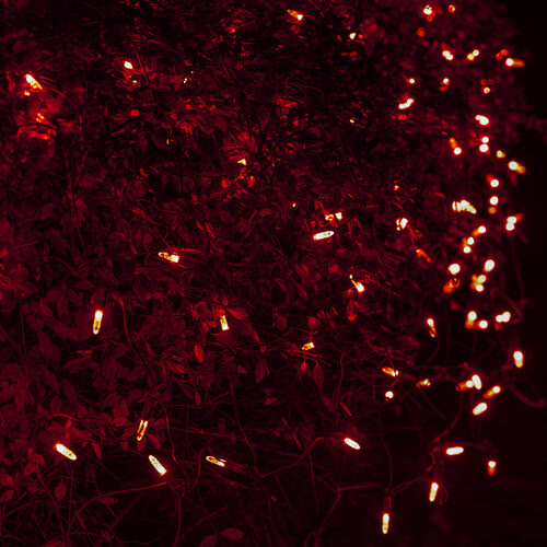 4' 6' M5 Red M5 LED Christmas Net Lights, 100 Lights on Green Wire