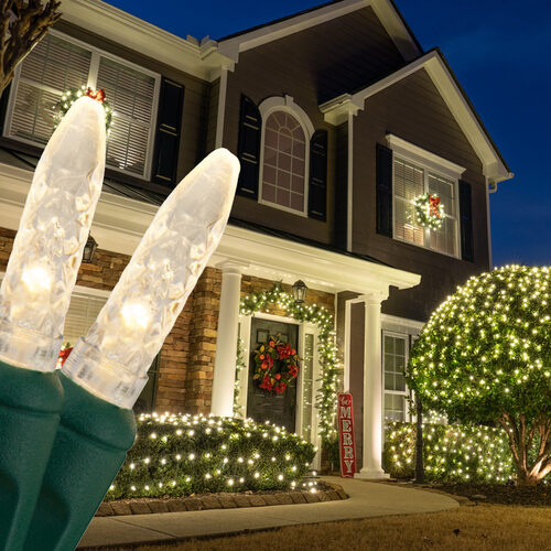 4' 6' M5 Warm White M5 LED Christmas Net Lights, 100 Lights on Green Wire