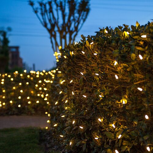 4' 6' M5 Warm White M5 LED Christmas Net Lights, 100 Lights on Green Wire