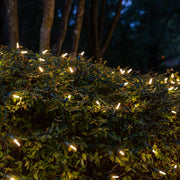 4' 6' M5 Warm White M5 LED Christmas Net Lights, 100 Lights on Green Wire