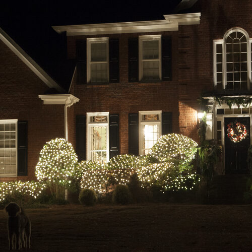 Mini Clear Mini Christmas Net Lights, Lights on Green Wire