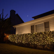 4' 6' Mini Clear Twinkle Mini Christmas Net Lights, 150 Lights on Green Wire