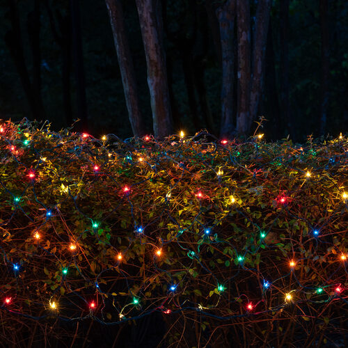 4' 6' Mini Multicolor Mini Christmas Net Lights, 150 Lights on Green Wire