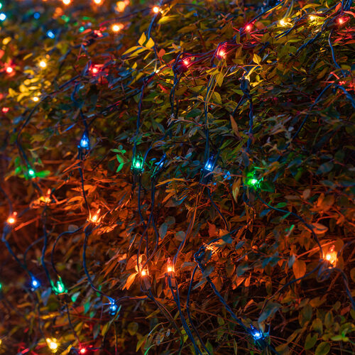 4' 6' Mini Multicolor Mini Christmas Net Lights, 150 Lights on Green Wire