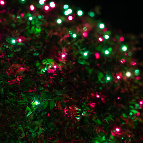 4' 6' Mini Purple, Green Mini Christmas Net Lights, 150 Lights on Black Wire