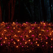 4' 6' Mini Purple, Orange Mini Christmas Net Lights, 150 Lights on Black Wire