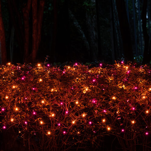 4' 6' Mini Purple, Orange Mini Christmas Net Lights, 150 Lights on Black Wire