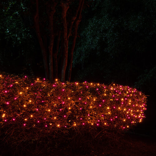 4' 6' Mini Purple, Orange Mini Christmas Net Lights, 150 Lights on Black Wire
