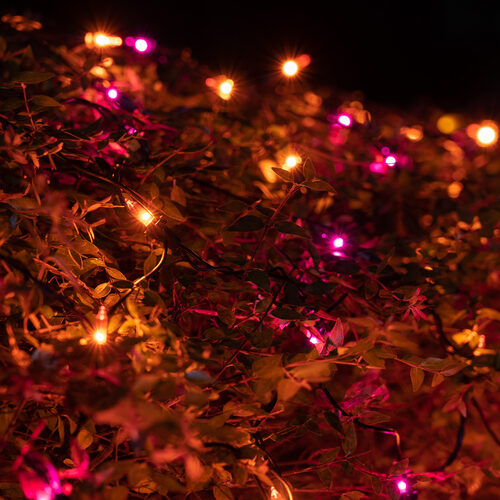 4' 6' Mini Purple, Orange Mini Christmas Net Lights, 150 Lights on Black Wire