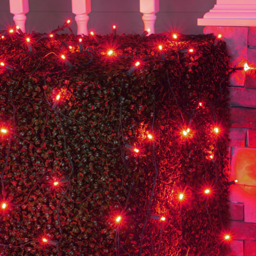 4' 6' Red 5mm LED Christmas Net Lights, 100 Lamps on Green Wire
