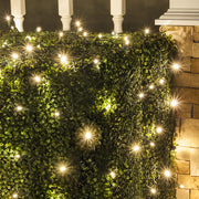 4' 6' Warm White 5mm LED Christmas Net Lights, 100 Lamps on Green Wire