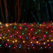4' 8' Multicolor Mini Christmas Net Lights, 200 Lamps on Green Wire