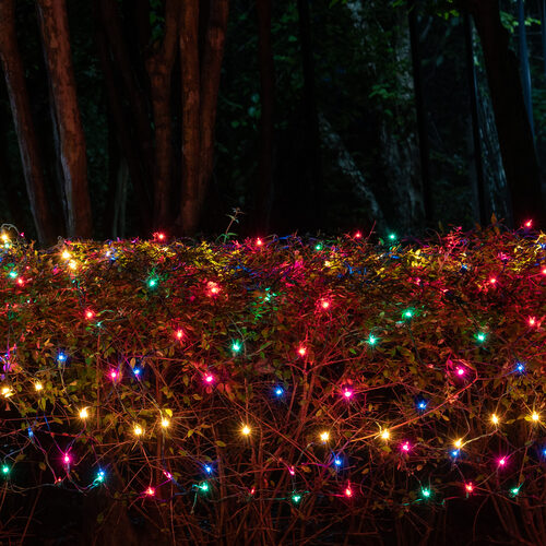 4' 8' Multicolor Mini Christmas Net Lights, 200 Lamps on Green Wire