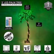 5' Curved LED Palm Tree