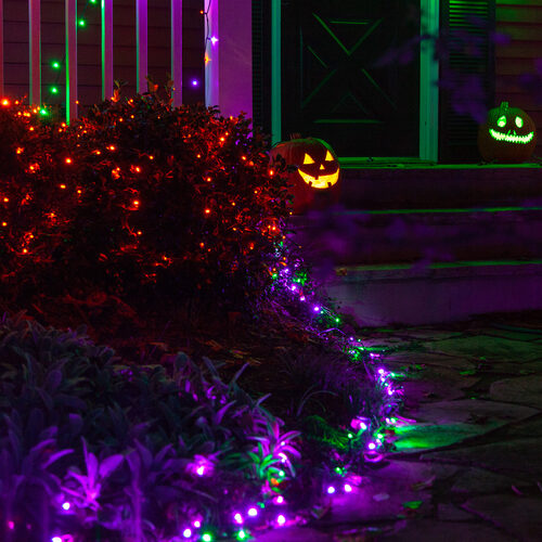 50 5mm Amber SoftTwinkle LED Christmas Lights, Green Wire, 4" Spacing