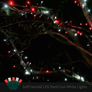 50 5mm Cool White, Red SoftTwinkle LED Christmas Lights, Green Wire, 4" Spacing