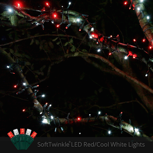 50 5mm Cool White, Red SoftTwinkle LED Christmas Lights, Green Wire, 4" Spacing